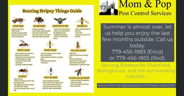 Mom & Pop Pest Control Services