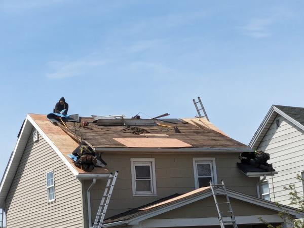 Dalex Roofing