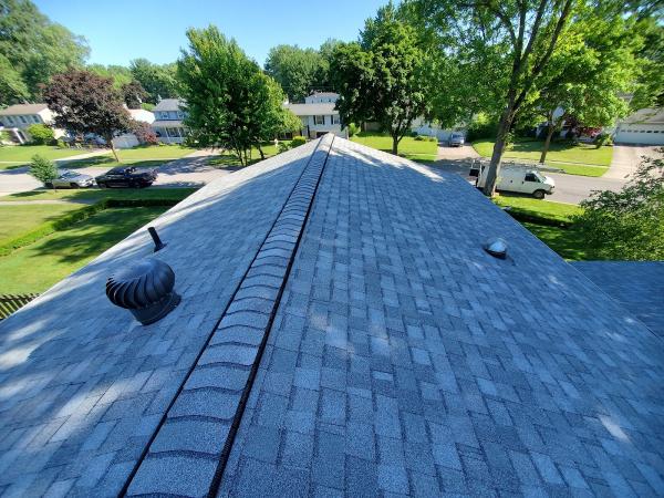 Dalex Roofing