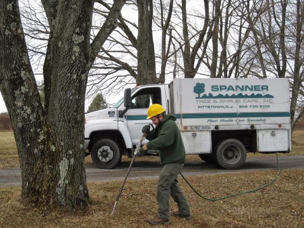 Spanner Tree & Shrub Care