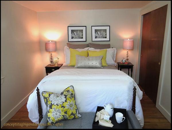 Concept Staging & Design