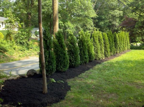 Landscaping With Hart Llc.