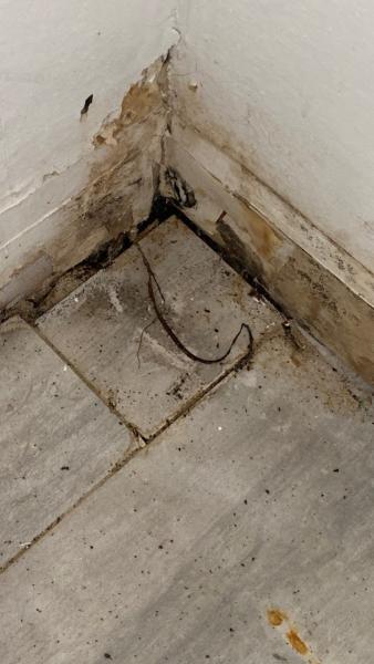 Ampm Restoration Services LLC