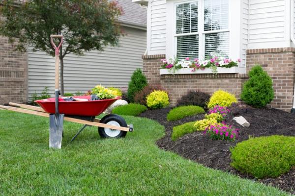 Lawn Care Carmel