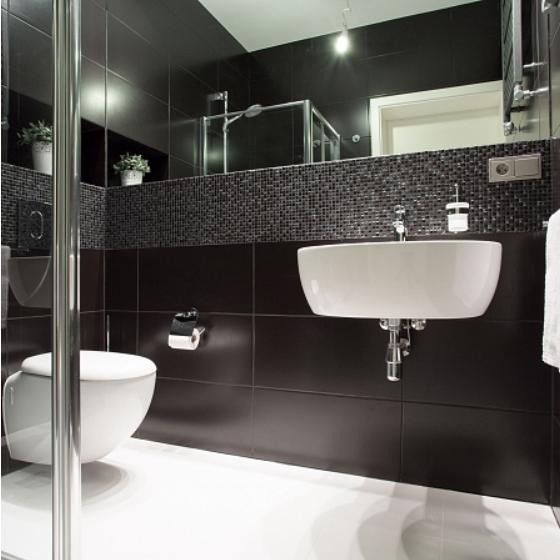 Modern Bathroom Remodel and Renovation Oakland