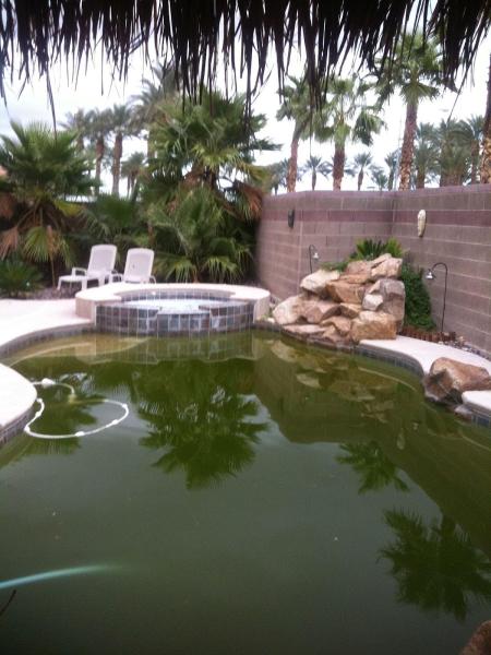 Action Pool Service & Repair