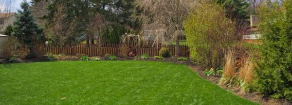 Total Lawn Care