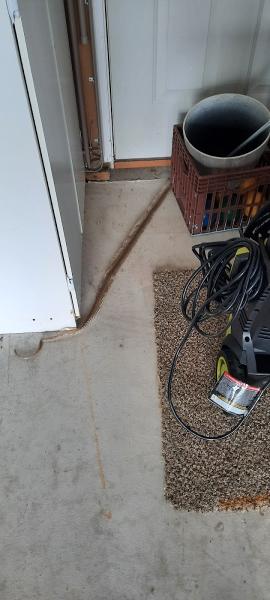 Allentown Animal Exterminator