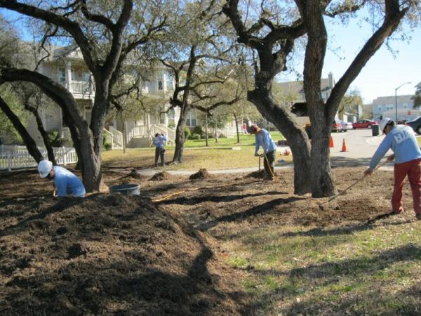 Heritage Tree Care