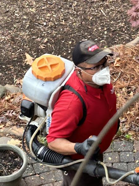Lake Norman Pest Control