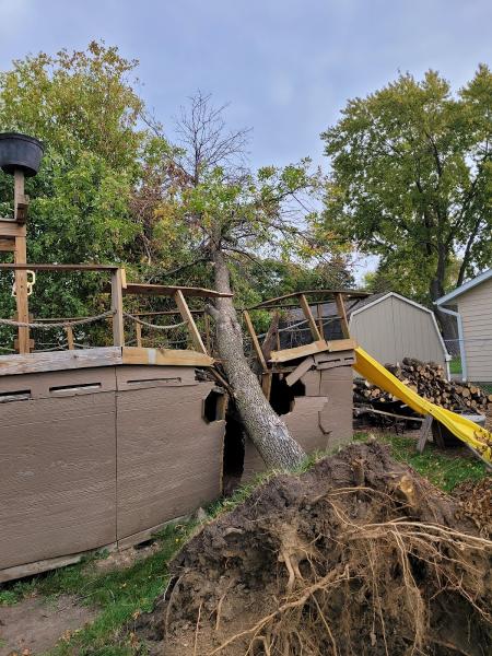 Enchanted Outdoor Tree & Services