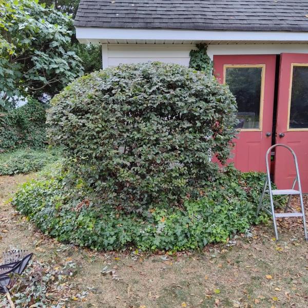 Mowmen Lawn Care Services