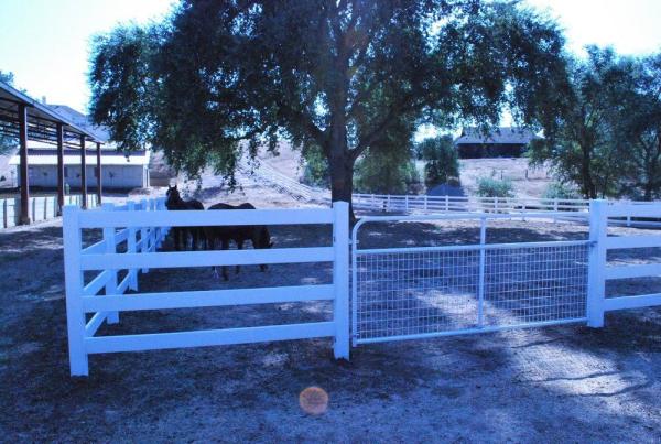 Top Rail Fence