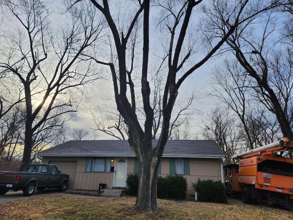 Franklyn Martinez Tree and Lawn Service