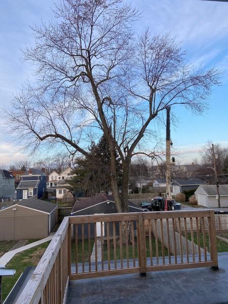 Ohio Tree Care