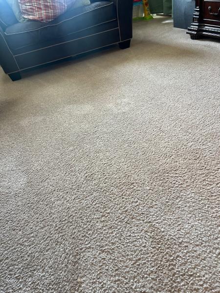 DC Carpet Care