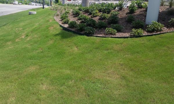PRO Landscape Solutions LLC