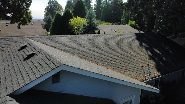 Elite Pressure Washing