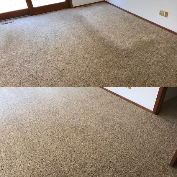 Pioneer Professional Carpet Care