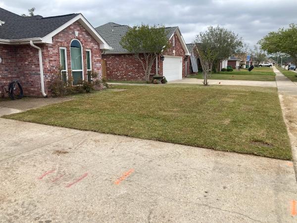 Borries Landscaping