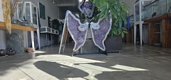 Shelley Starr Interior Design