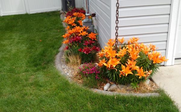 Living Water Lawn & Tree Care