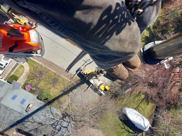 Lord's Tree Service LLC