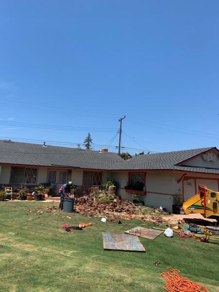 Jayson's Tree Service