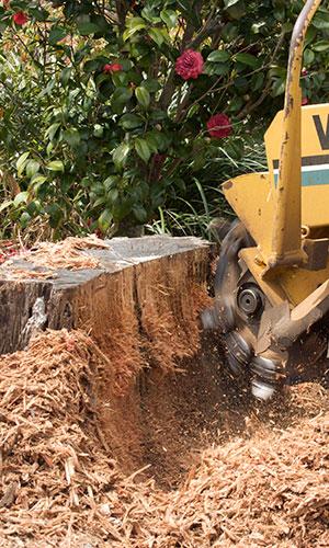 Tom's Stump Grinding