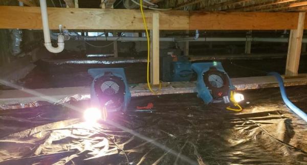 Revive Water Damage Restoration