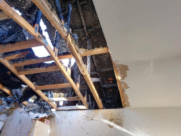 Revive Water Damage Restoration