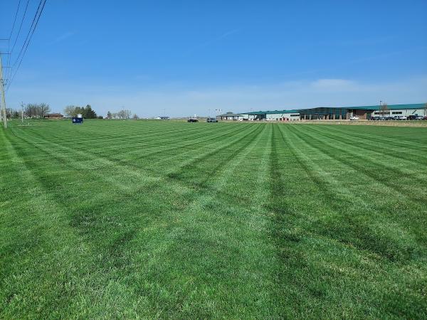 Maxturf