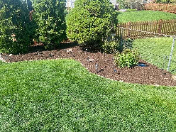 Dom's Lawn & Care