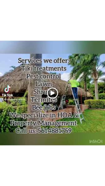 Alfa J Services Termite