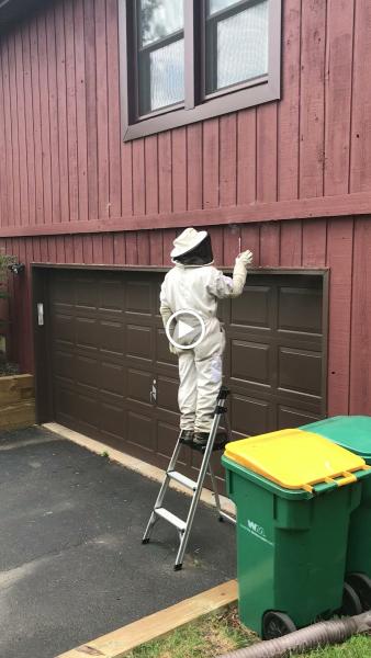 A-Action Pest Control