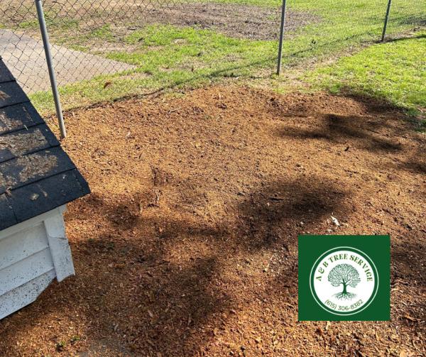 A&B Tree Service