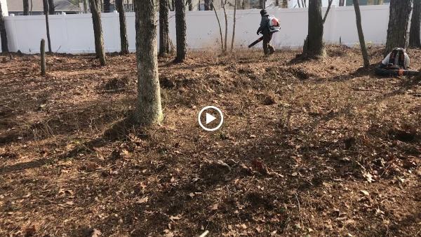 A Vision Lawn Care & Landscaping LLC