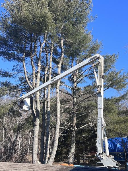 Colonial Tree Service