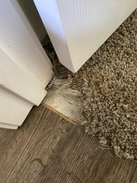 Toney's Carpet Inc