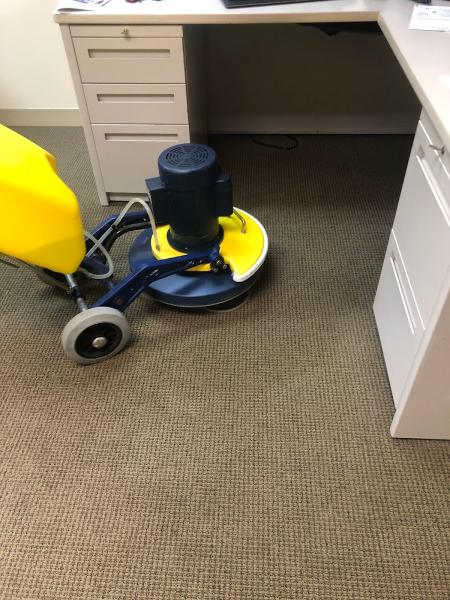Luna Optimum Cleaning
