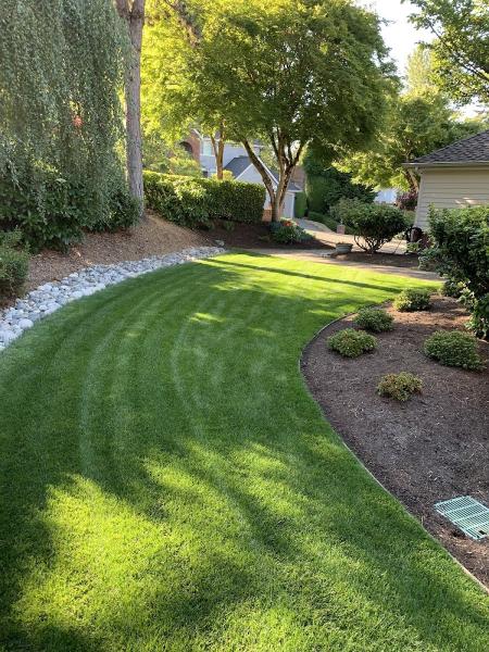 Goldenrule Lawn and Landscape