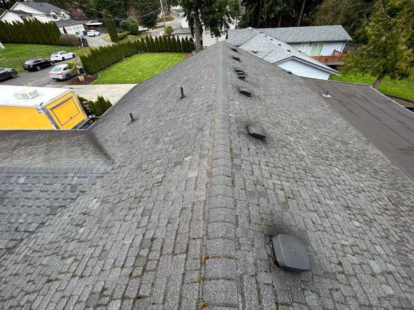 Grace Roof & Gutter Cleaning