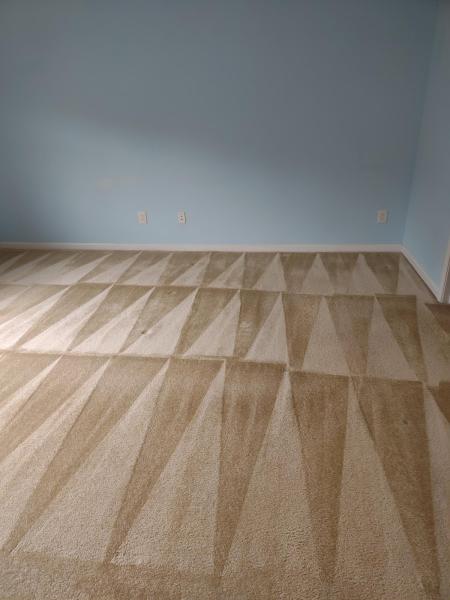 All Aces Carpet Cleaning