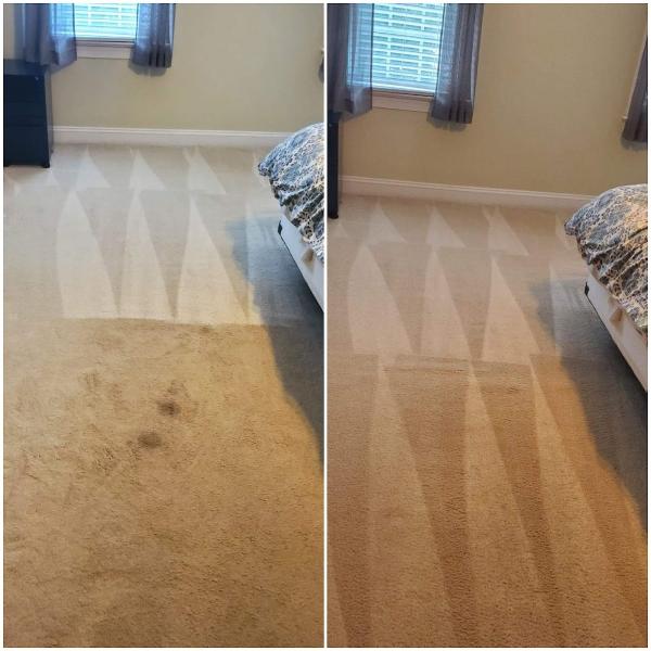 All Aces Carpet Cleaning