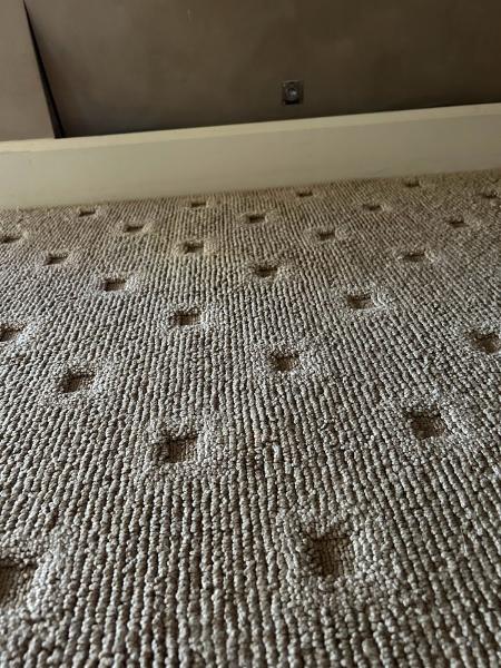 Moser Carpet Repairs