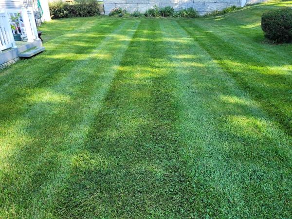 Hasken Lawn Care LLC