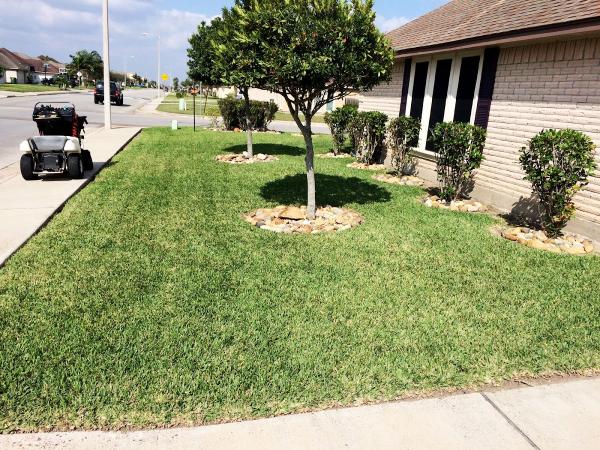 Dr. John's Lawn Prescription