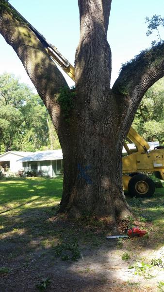 Nipper's Quality Tree Service