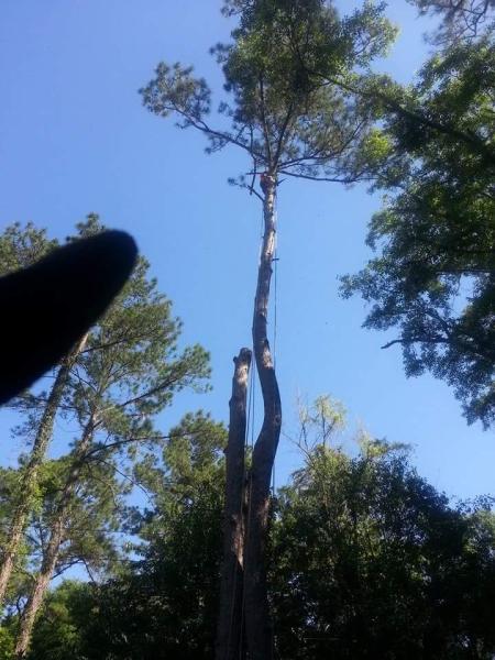 Nipper's Quality Tree Service