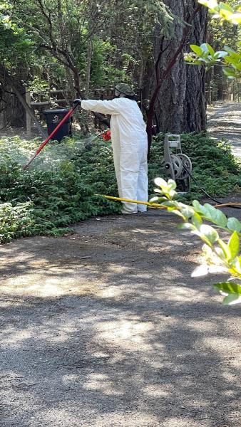 5 Star Pest Control